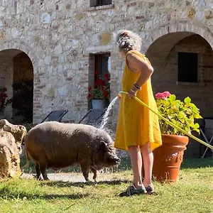 Farm stay Agriturismo Sole, Trequanda